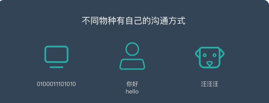 image-20250614145307640